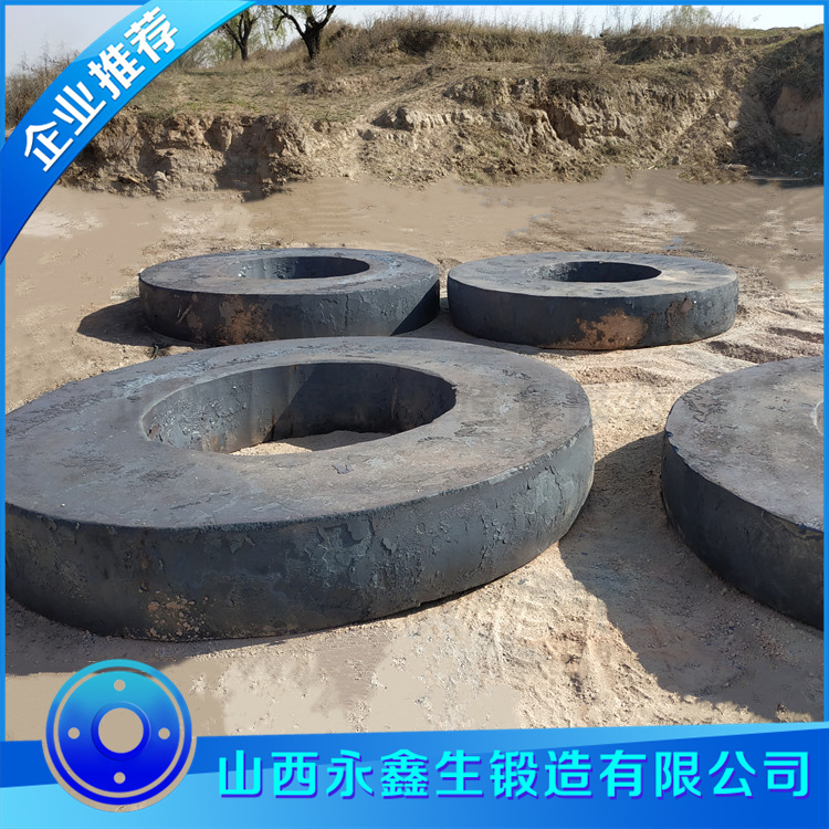 加氫反應(yīng)法蘭圈鍛件